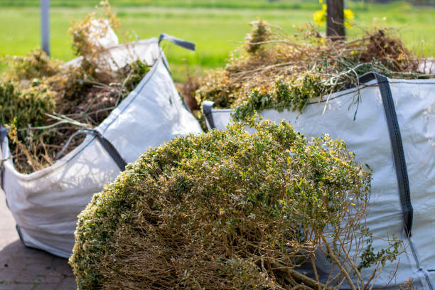 Best Estate Cleanout Services  in Olney, MD